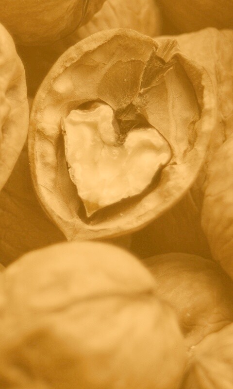 Расколотый орех обои