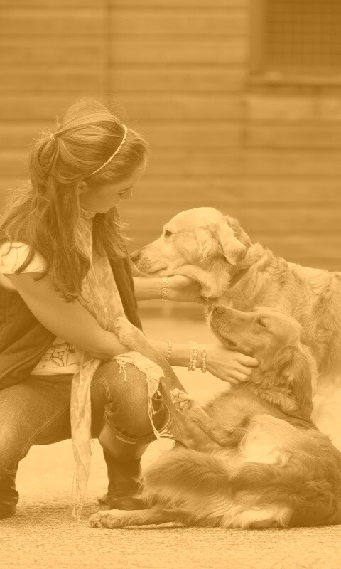 Девушка с собаками обои