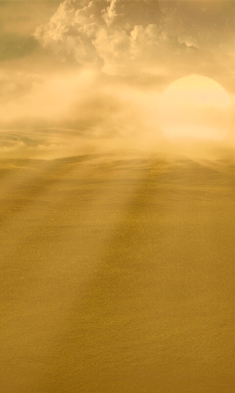 Белое солнце обои