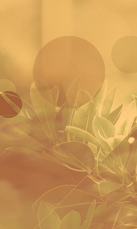 Синий фильтр с кргуами на фото листьев обои