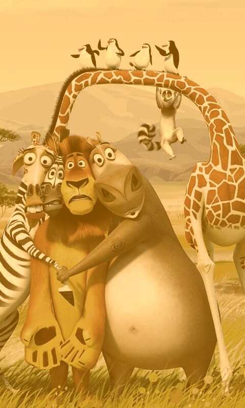 Герои мультфильма Мадагаскар обои
