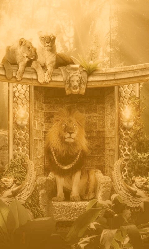 Царь зверей обои