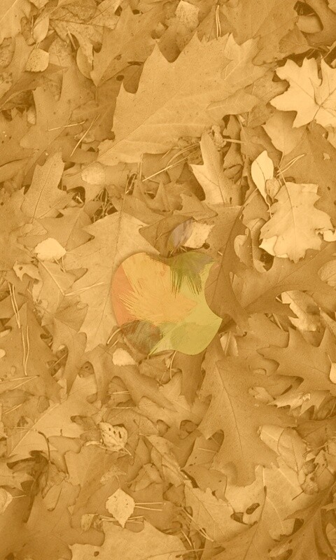 Эпл в сухой листве обои