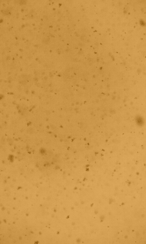 Черные пятна на сером фоне обои