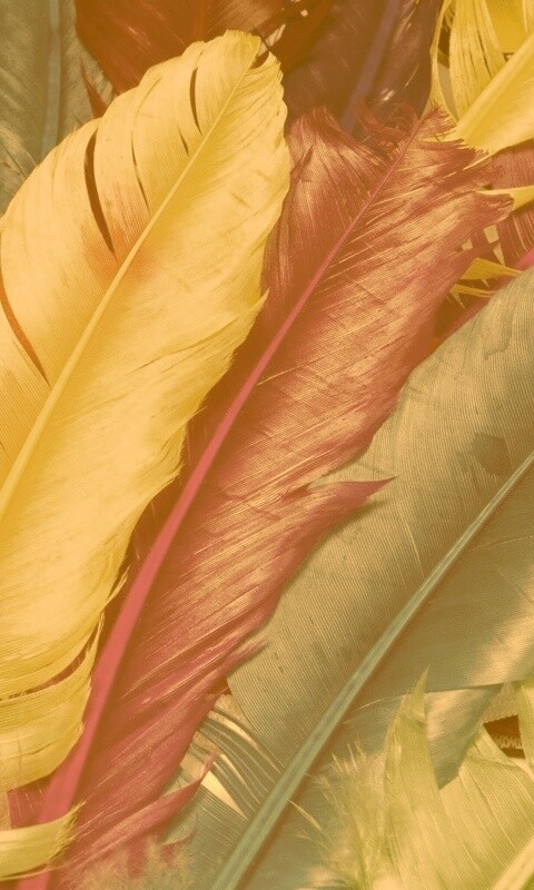 Разноцветные перья обои