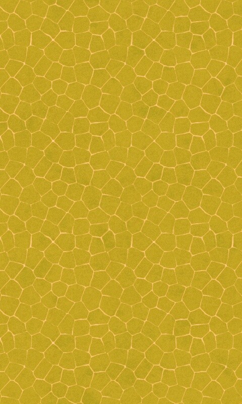 Зелёные сегменты обои