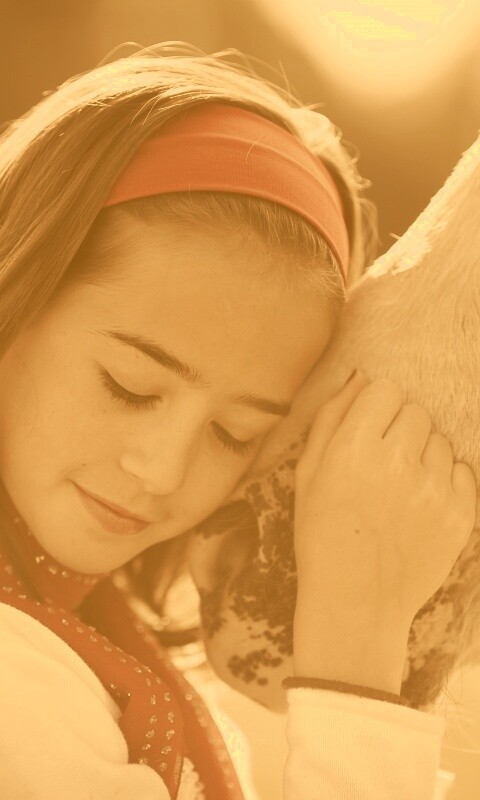 Девочка и лошадь обои