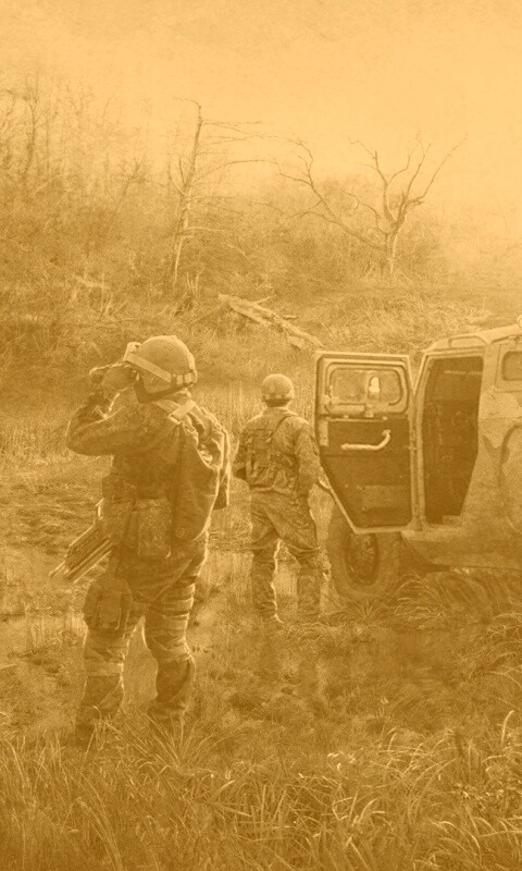 Солдаты из сталкера на болоте обои