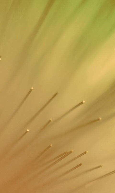 Световоды в рассеяном свете обои