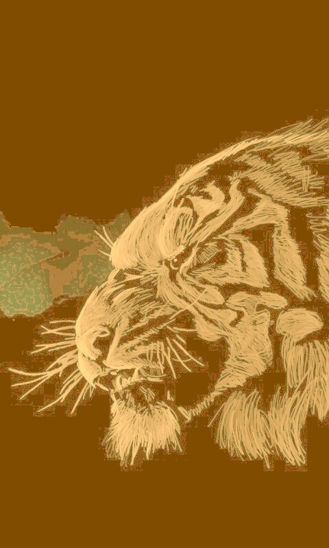 Рисунок грозного тигра обои