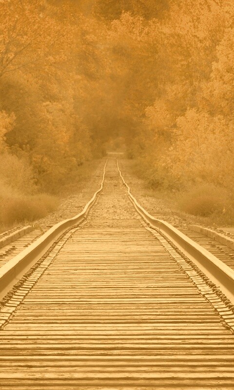 Железная дорога в осеннем лесу обои