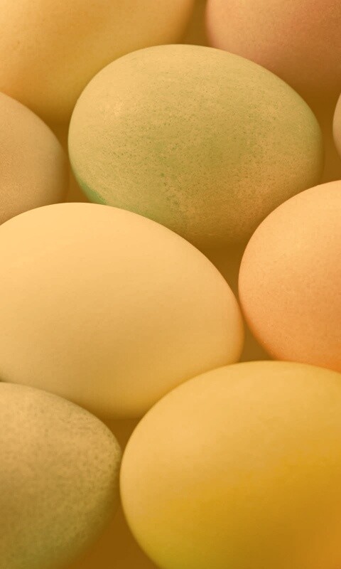 Яркие пасхальные яйца обои