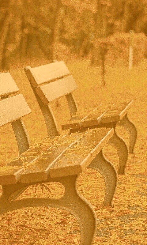 Лавочки в осеннем парке обои