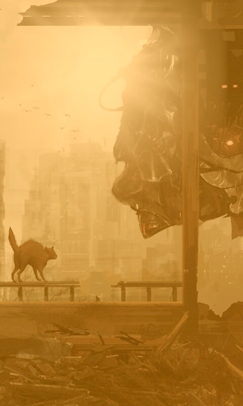 Кошкино удивление обои