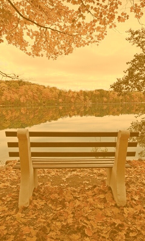 Вид на осеннее озеро обои