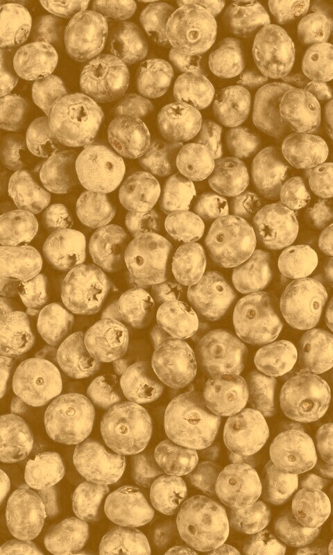 Черника обои