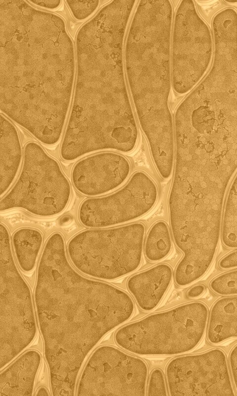 Абстрактные обои обои