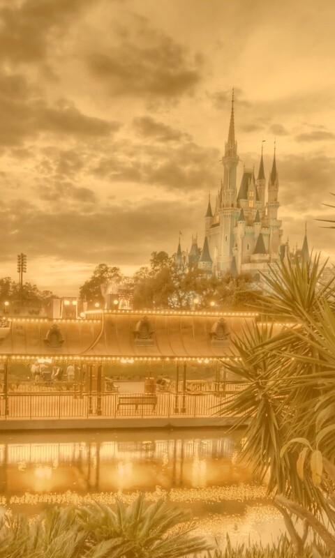 Диснеёленд вечером обои