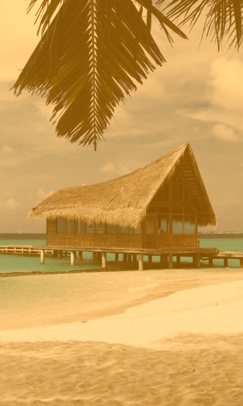 Бунгало обои