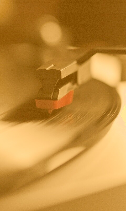 Пластинка обои