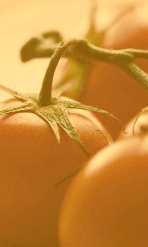 Аппетитные помидоры обои