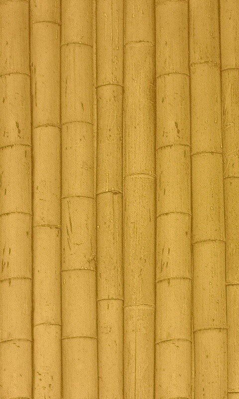 Зеленый бамбук обои