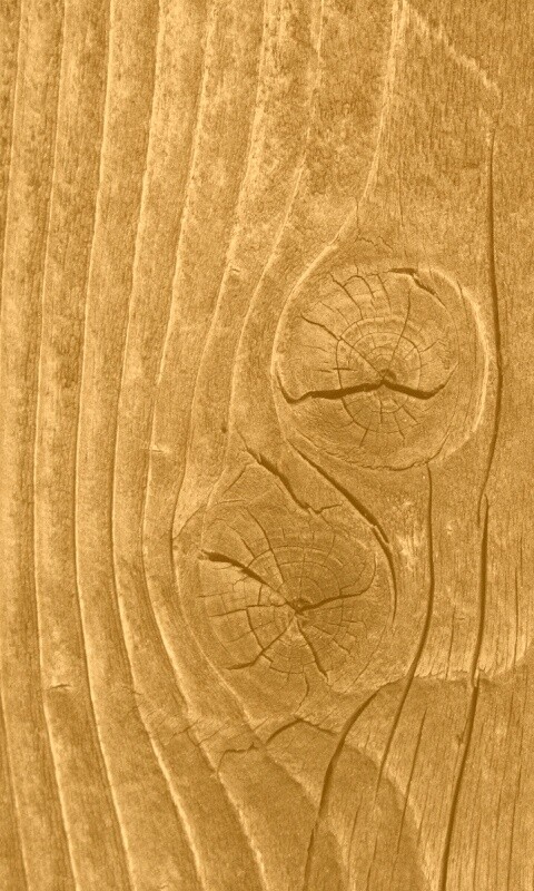 Сучковатое дерево обои