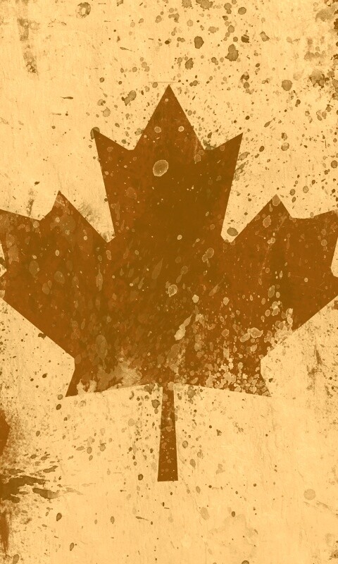 Флаг Канады нарисованный краской обои