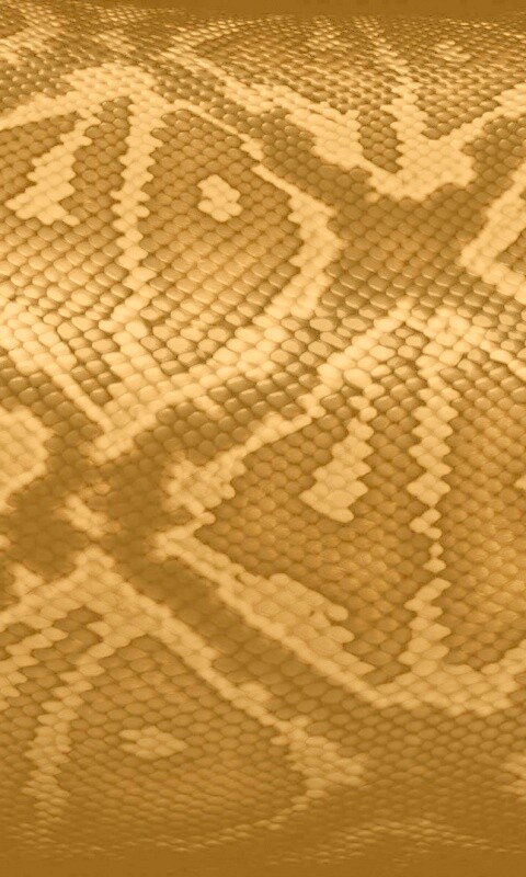 Змеиная кожа обои