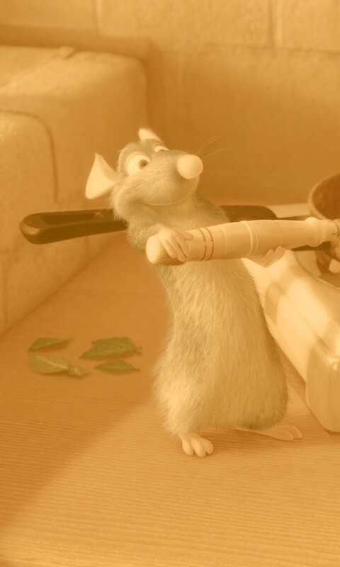 Рататуй у плиты обои