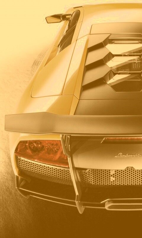 Lamborghini Murcielago обои