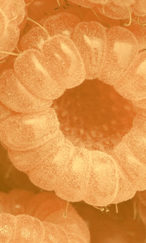 Малина обои