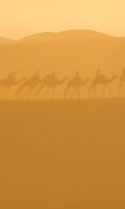 Караван обои