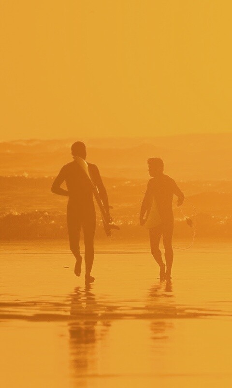 Серфингисты обои