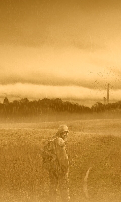 Сталкер под дождем обои