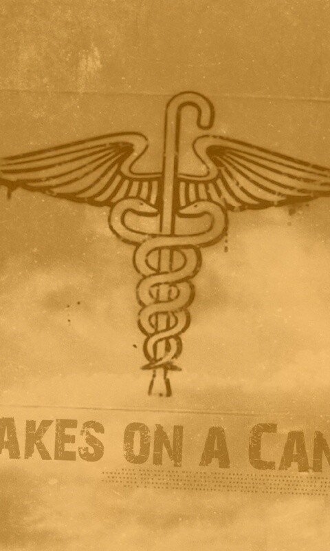 Змеи на трости обои