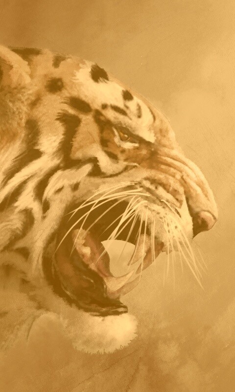 Картина с тигром обои