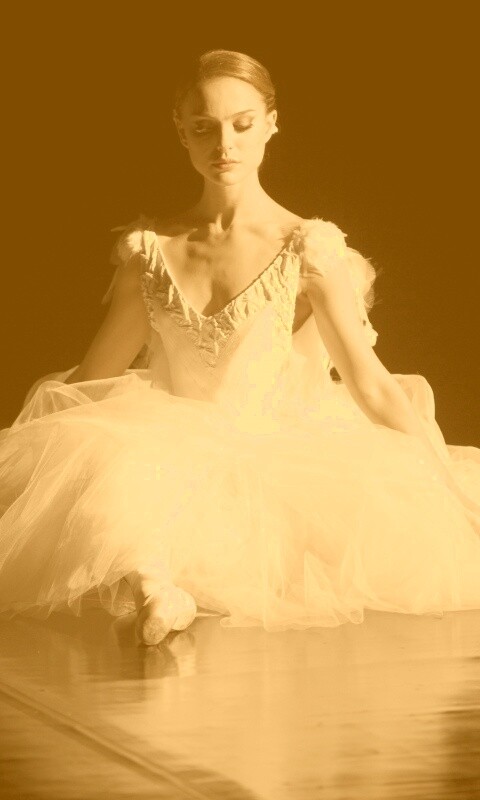 Черный лебедь обои