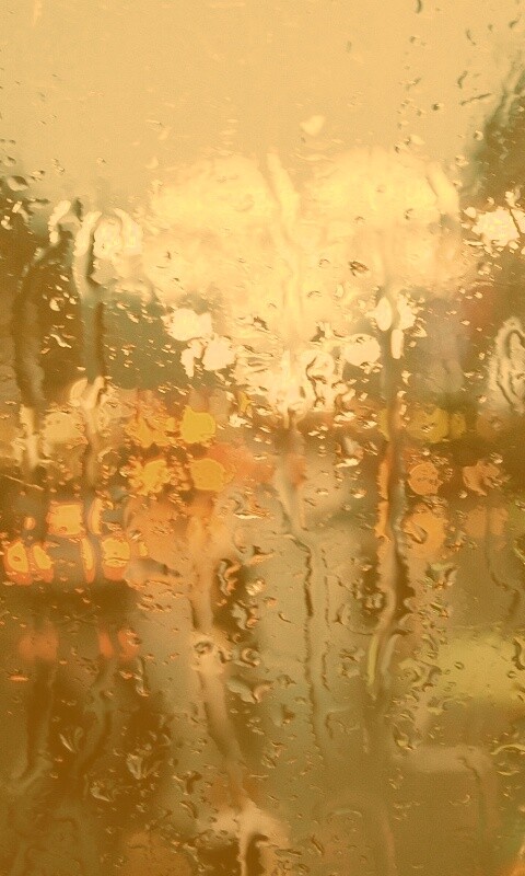 После дождя обои