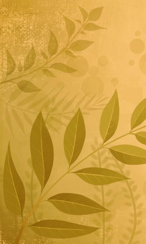 Веточка молодых листьев обои