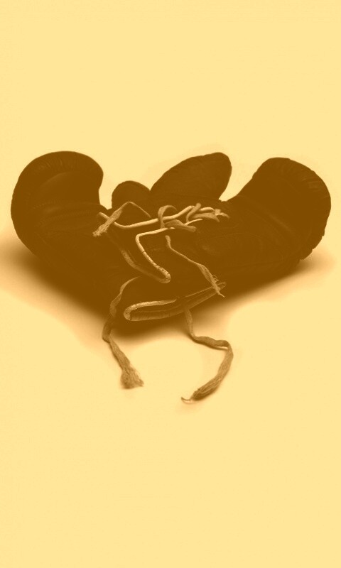 Боксерские перчатки обои