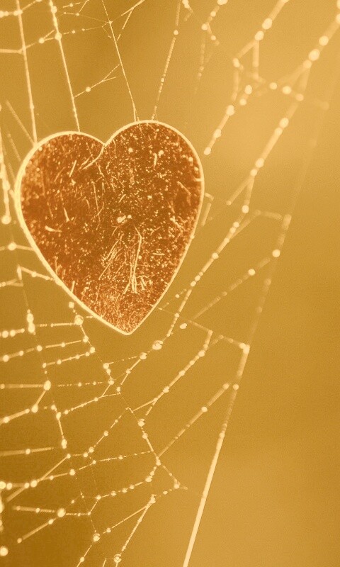 Запутавшаяся любовь.. обои