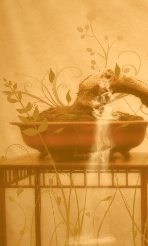 Карликовое дерево обои