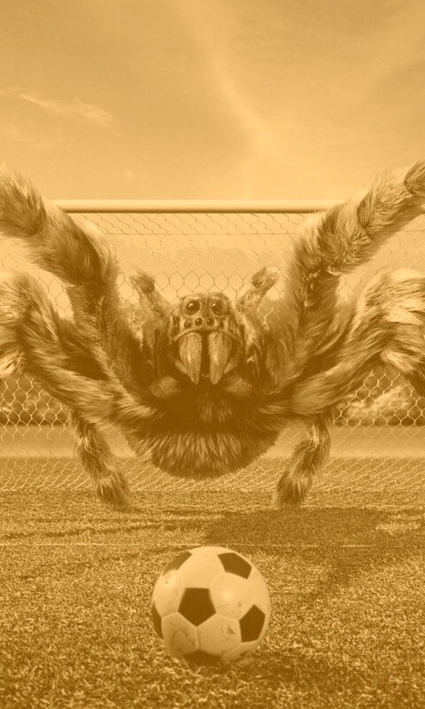 Вратарь обои