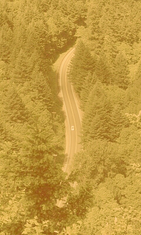 Лесная трасса обои