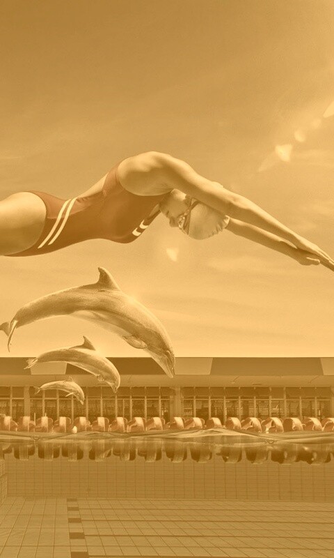 Соревнование обои