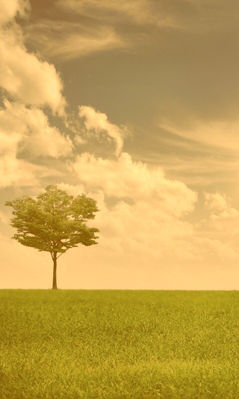 Один в целом мире обои