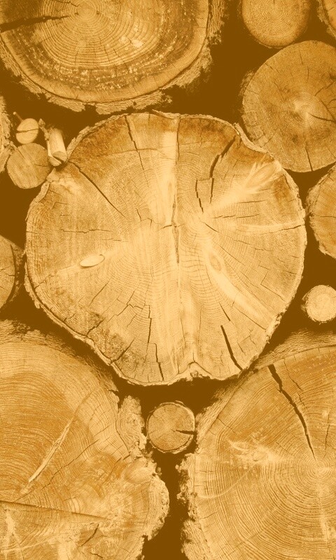 Древесный спил обои