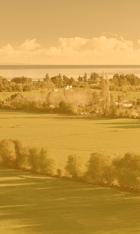 Сельская природа обои