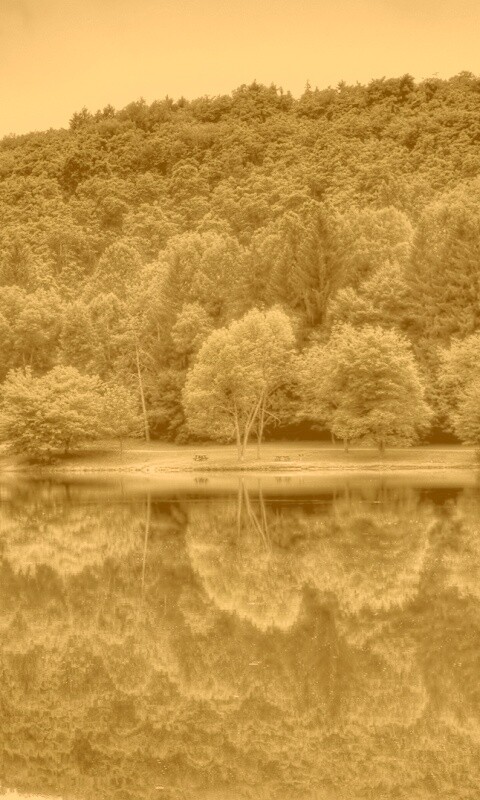 Лесной берег обои